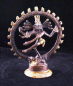 Preview: Shiva Nataraja Laiton bicolor