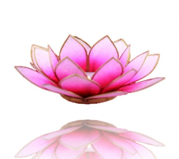 Ambiente Lotus Kerzenhalter mit Rand. rosa - hell rosa (Grösse: 13.5 cm)