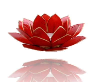 Chakra Lotus Licht mit Rand, Capiz-Muschel, rubin rot (Grösse: 13.5 cm)
