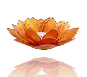 Chakra Lotus Licht mit Rand, Capiz, bernsteinfarbe (Grösse: 13.5 cm)