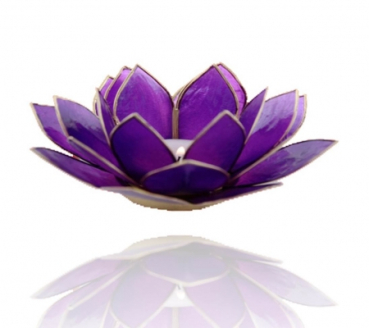 Chakra Lotus Licht mit Rand, Capiz, amethystviolet (Grösse: 13.5 cm)