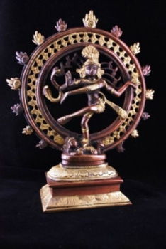 Shiva Nataraja Laiton bicolor